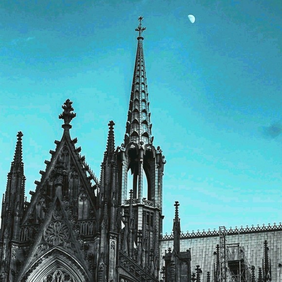 Meet your Posher, Curt - Picture 1 of 1